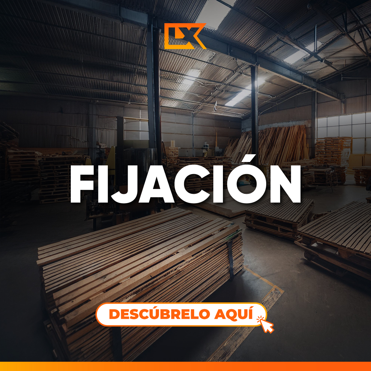 Fijación