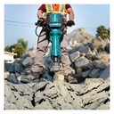 Martillo Rompepavimento Hexagonal 2000W HM1812 Makita