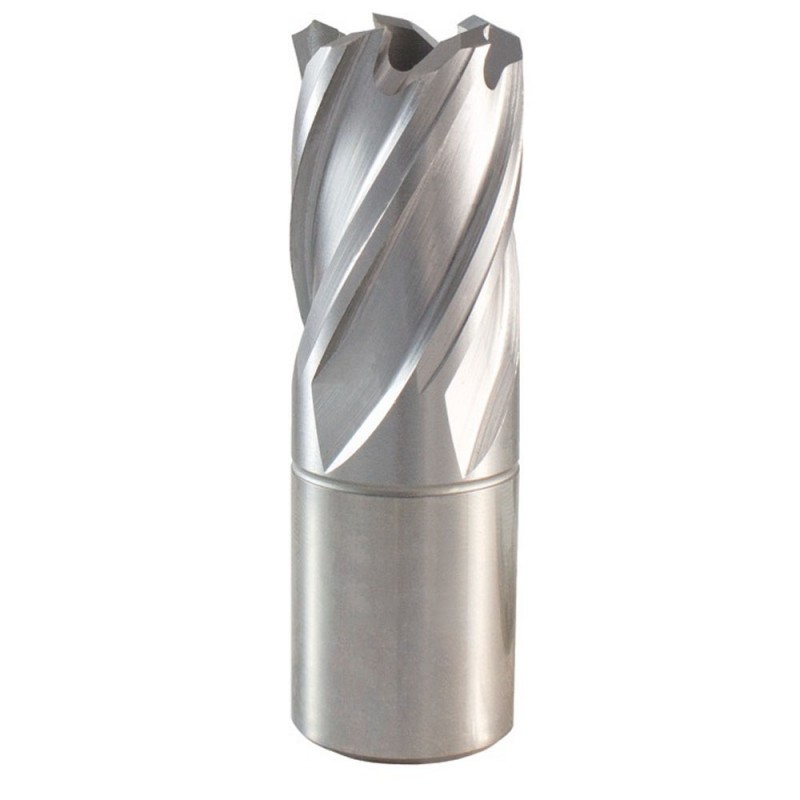 [19S] Broca Anular Encastre Weldon 19 X25Mm Makita
